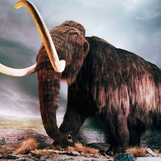 Hd-169973-ascw169973