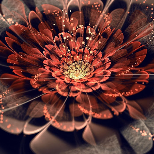 Hd-155216-ascw155216