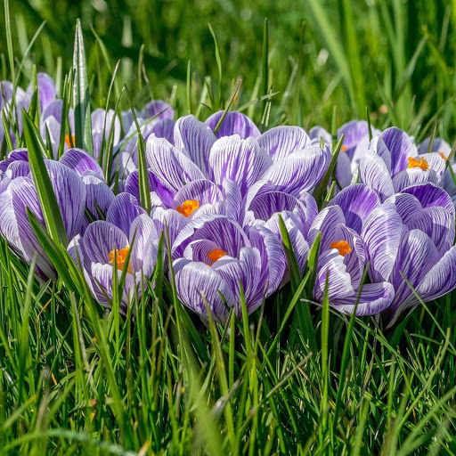 Hd-152336-ascw152336