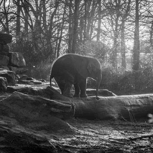 Hd-162587-ascw162587