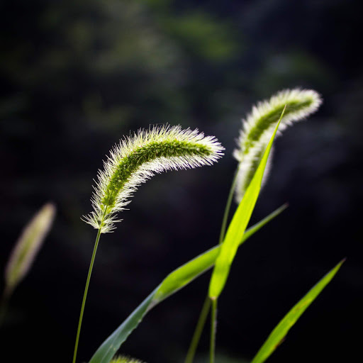 Hd-152598-ascw152598