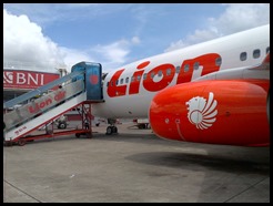 Lion Air and Batik Air