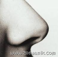 [hidung%2520mancung%255B3%255D.jpg]