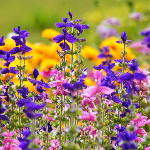 Hd-145960-ascw145960