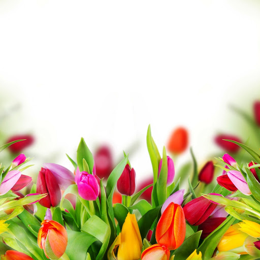 Hd-142093-ascw142093