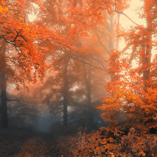 Hd-159078-ascw159078