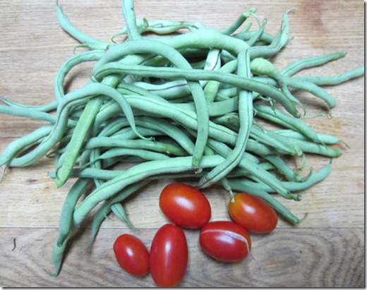 Fortex beans and Juliet tomatoes