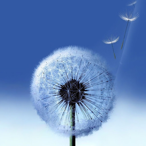 Hd-143017-ascw143017