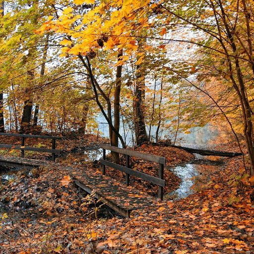 Hd-145561-ascw145561