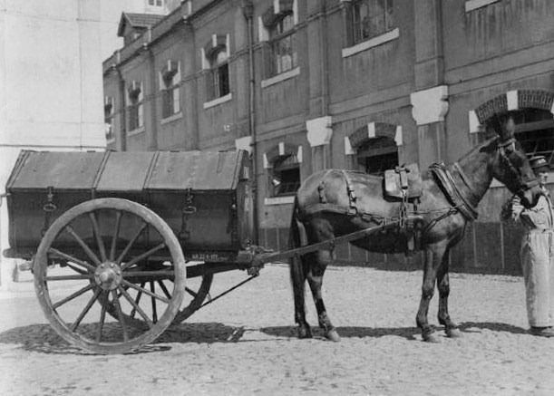 [Carro%25C3%25A7a%2520de%2520lixo%255B5%255D.jpg]