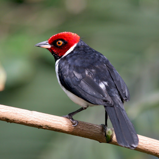 Hd-167673-ascw167673