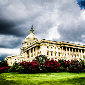 Washington Capitol by Enrique Santana Carballo - Buildings & Architecture Public & Historical