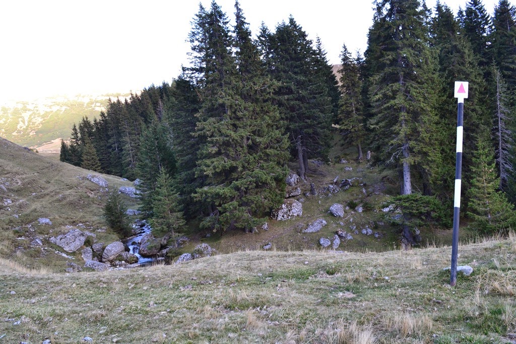 [DSC_41913.jpg]