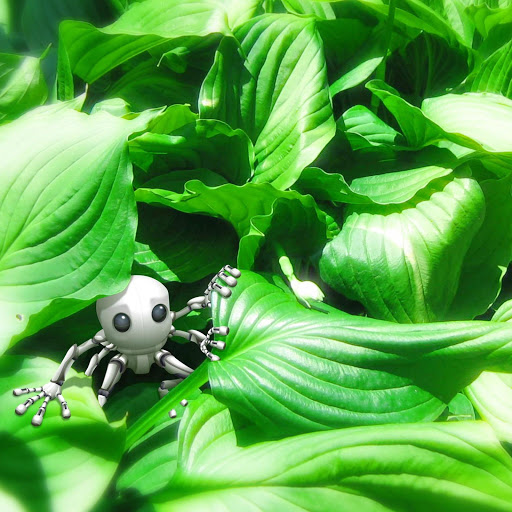 Hd-133729-ascw133729