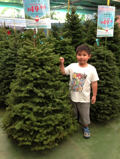 IMG_3138.jpg IMG 3138