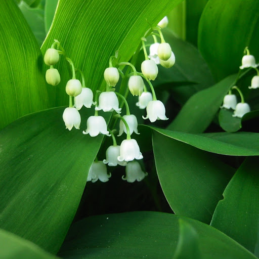 Hd-183248-ascw183248