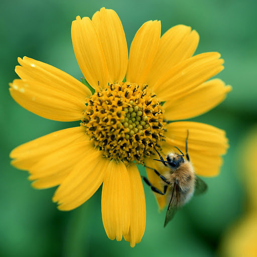 Hd-136372-ascw136372