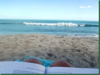 a very FAVORITE occupation-reading on the beach