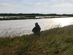 Skjern Au _ Oktober 2012 - 050