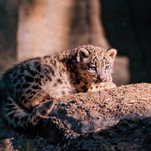 Hd-152492-ascw152492