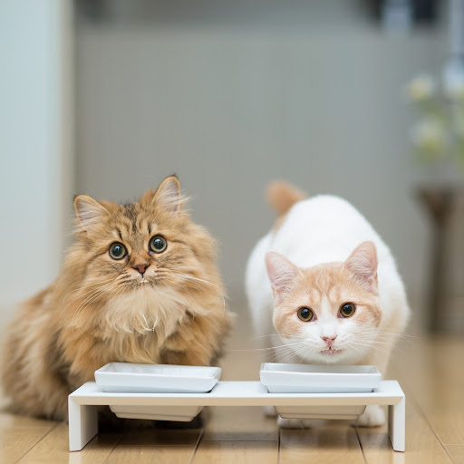 Hd-180642-ascw180642