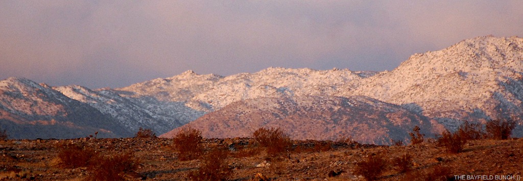 [DSC_6060%255B4%255D.jpg]