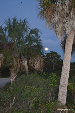 Moonrise over Estero Bay_December 27th