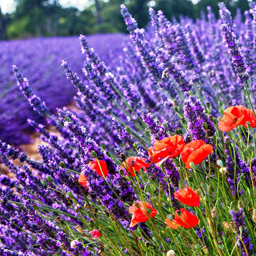 Hd-152369-ascw152369