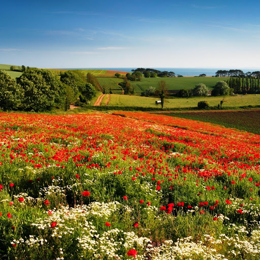 Hd-142720-ascw142720