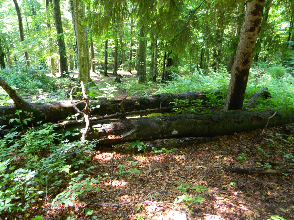 [DSCN71733.jpg]