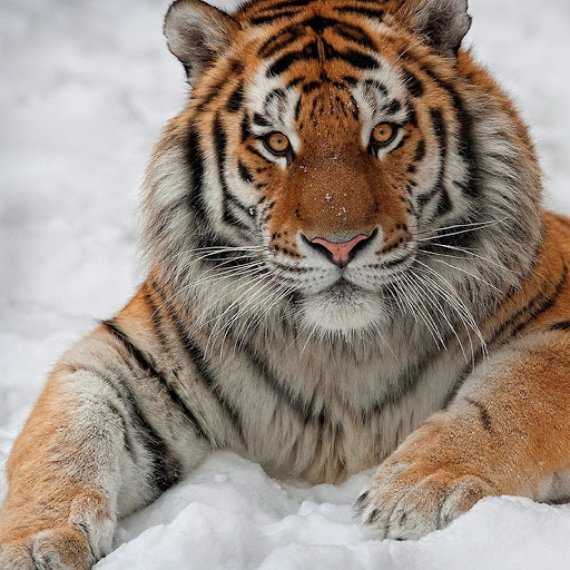 Hd-180431-ascw180431