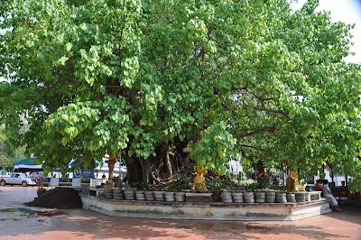 DSC_0956.JPG