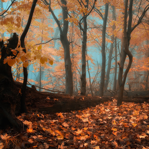 Hd-173507-ascw173507