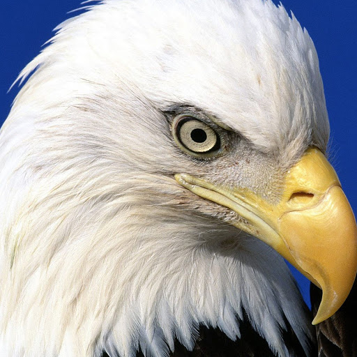 Hd-138858-ascw138858