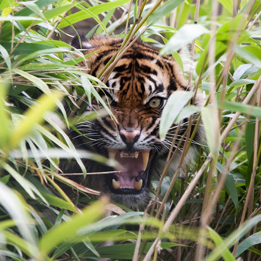 Hd-134692-ascw134692