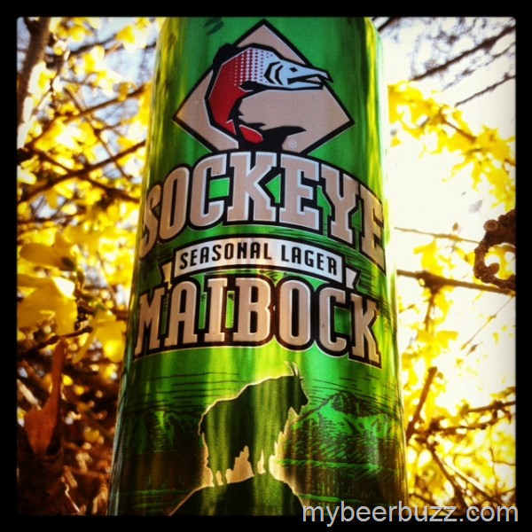 [image%255B3%255D.png]