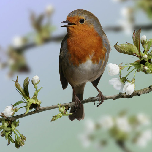 Hd-182611-ascw182611