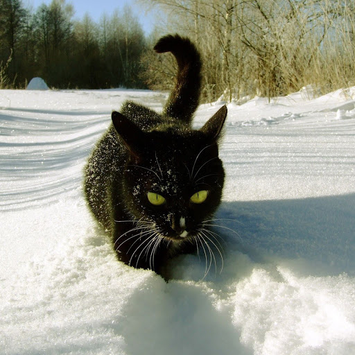 Hd-138903-ascw138903