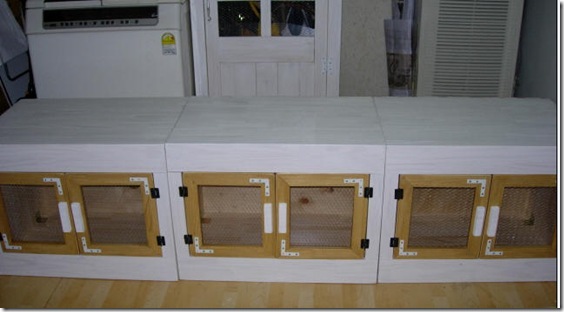 Gallery3954_0