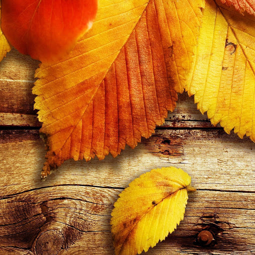 Hd-143404-ascw143404