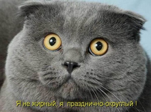 [1304078167_kotomatrix_03%255B5%255D.jpg]