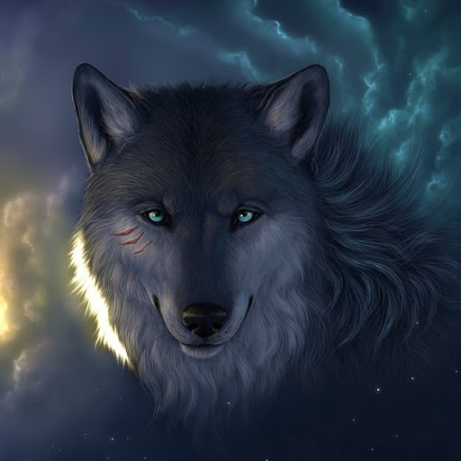 Hd-180077-ascw180077