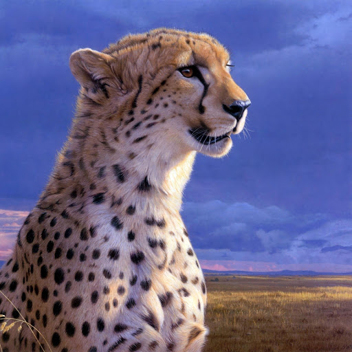 Hd-176382-ascw176382