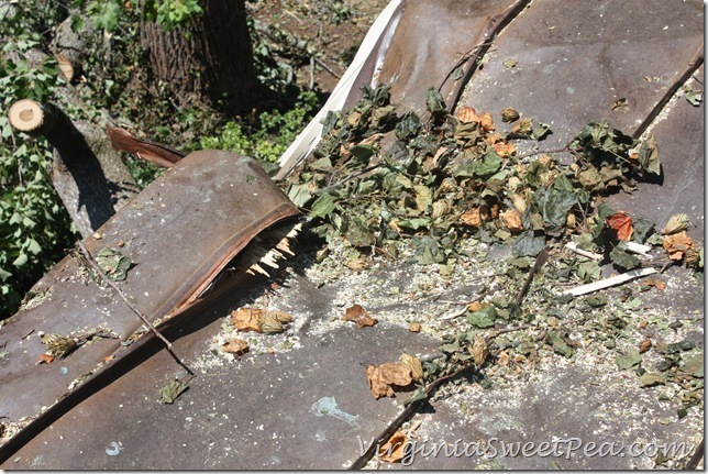 Roof Damage6