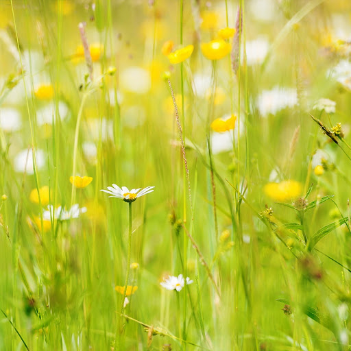 Hd-148421-ascw148421