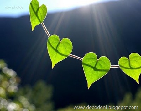 corações verdes