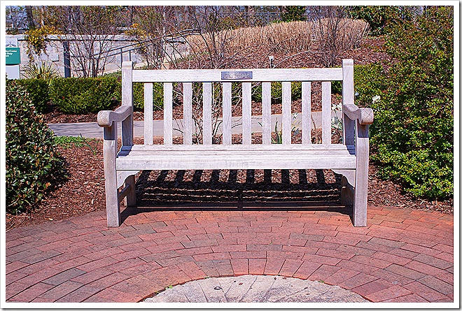 free-pictures-benches-1 (483)
