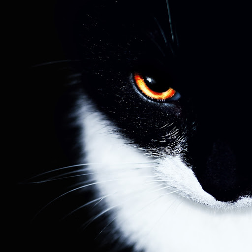 Hd-133600-ascw133600