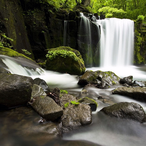 Hd-160801-ascw160801