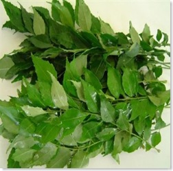 fresh curry leaves